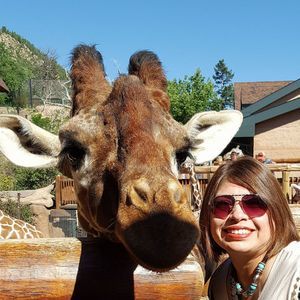 Meet your Posher, Norma